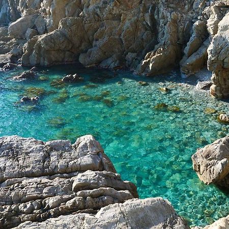Il Cuore Di Moneglia - Moneglia Apartments Dış mekan fotoğraf
