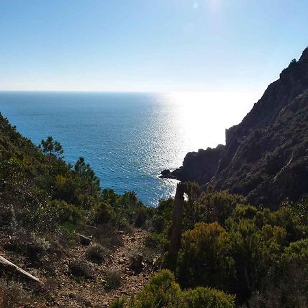 Il Cuore Di Moneglia - Moneglia Apartments Dış mekan fotoğraf
