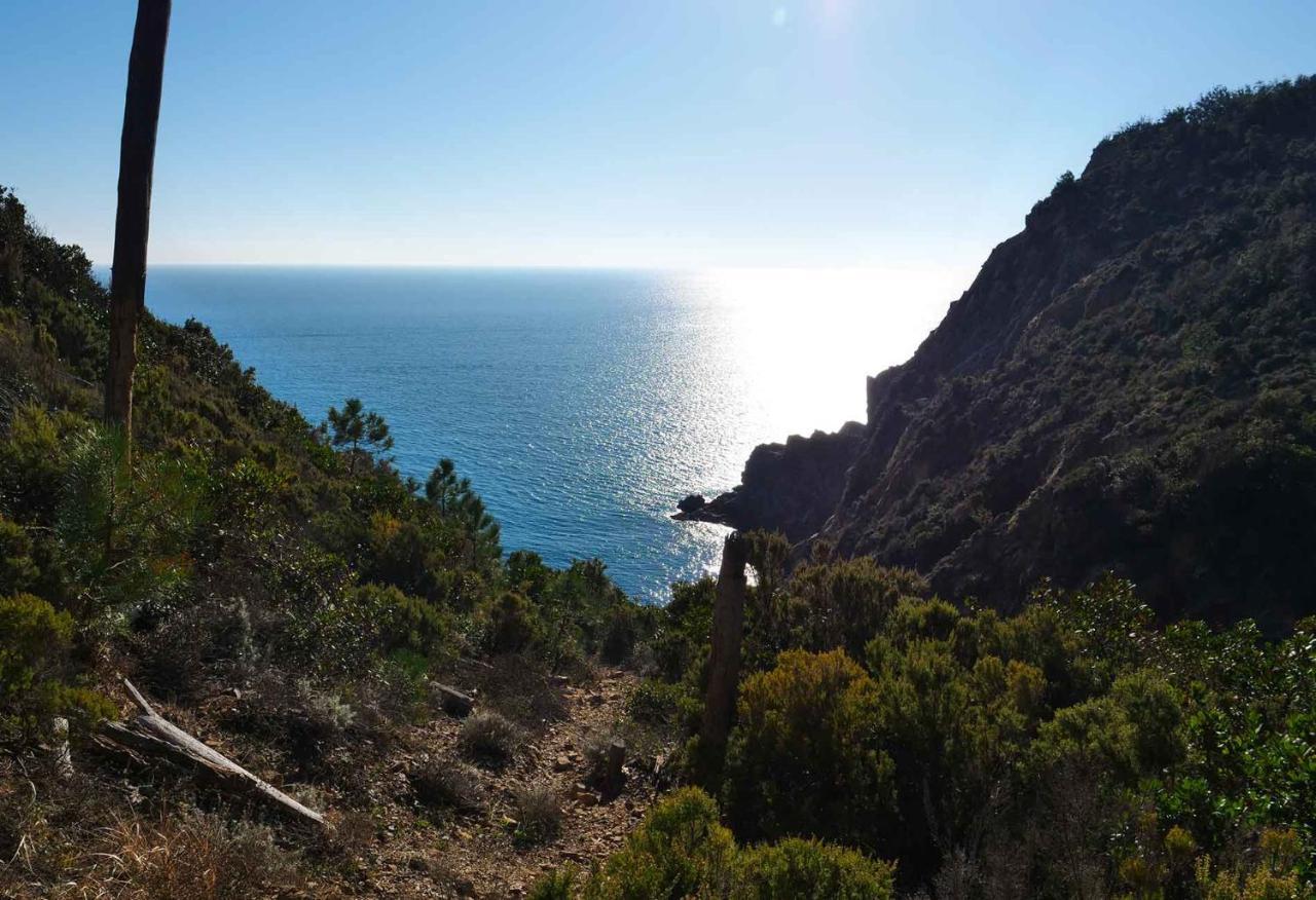 Il Cuore Di Moneglia - Moneglia Apartments Dış mekan fotoğraf
