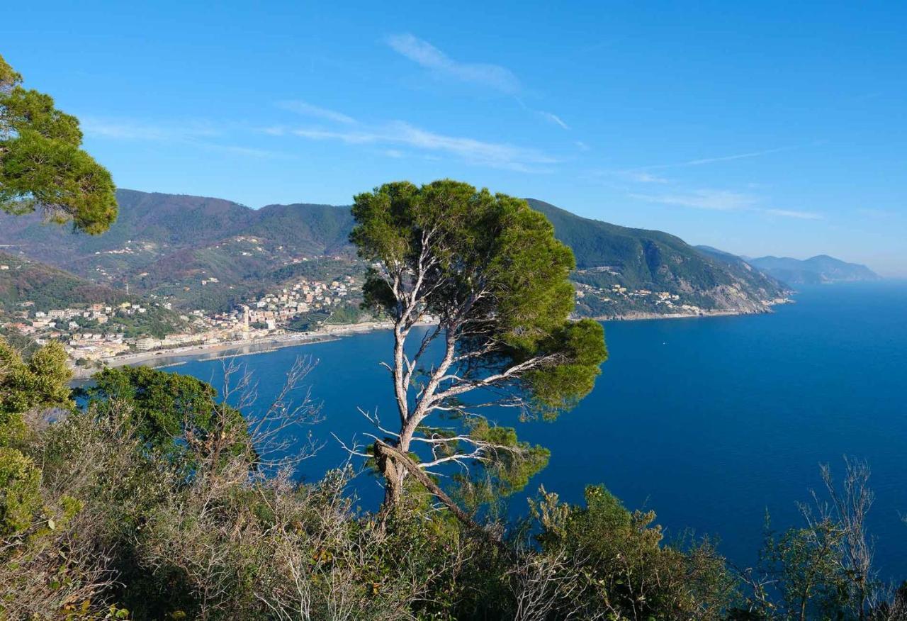 Il Cuore Di Moneglia - Moneglia Apartments Dış mekan fotoğraf